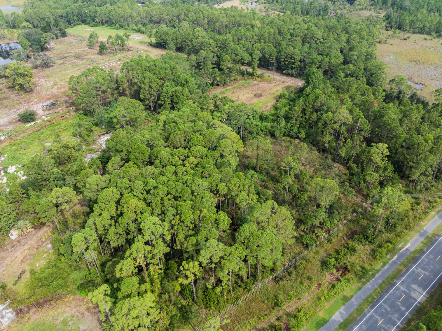 Image for 61± Acres on Coastal Hwy – Panacea, FL – Gateway to the Gulf Coast