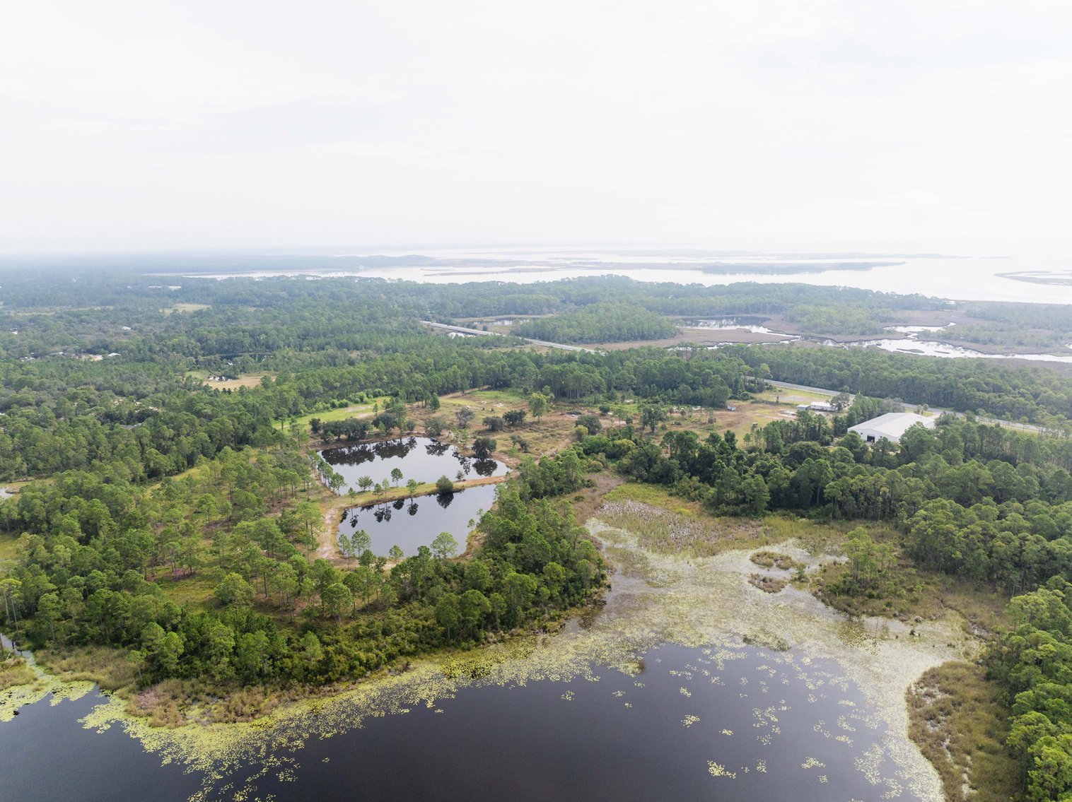 Image for 61± Acres on Coastal Hwy – Panacea, FL – Gateway to the Gulf Coast