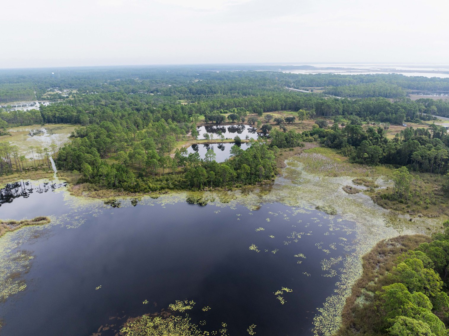 Image for 61± Acres on Coastal Hwy – Panacea, FL – Gateway to the Gulf Coast