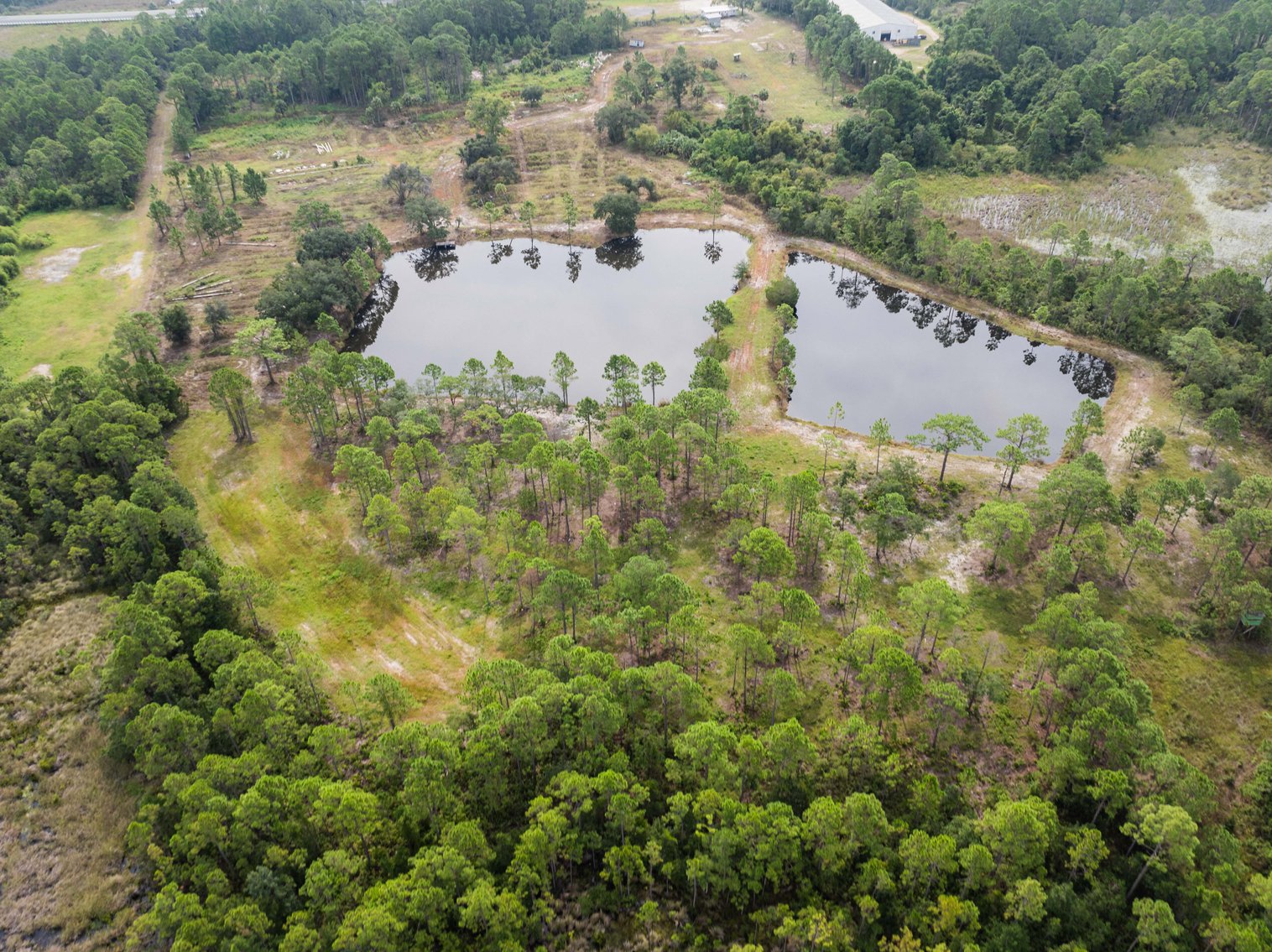 Image for 61± Acres on Coastal Hwy – Panacea, FL – Gateway to the Gulf Coast