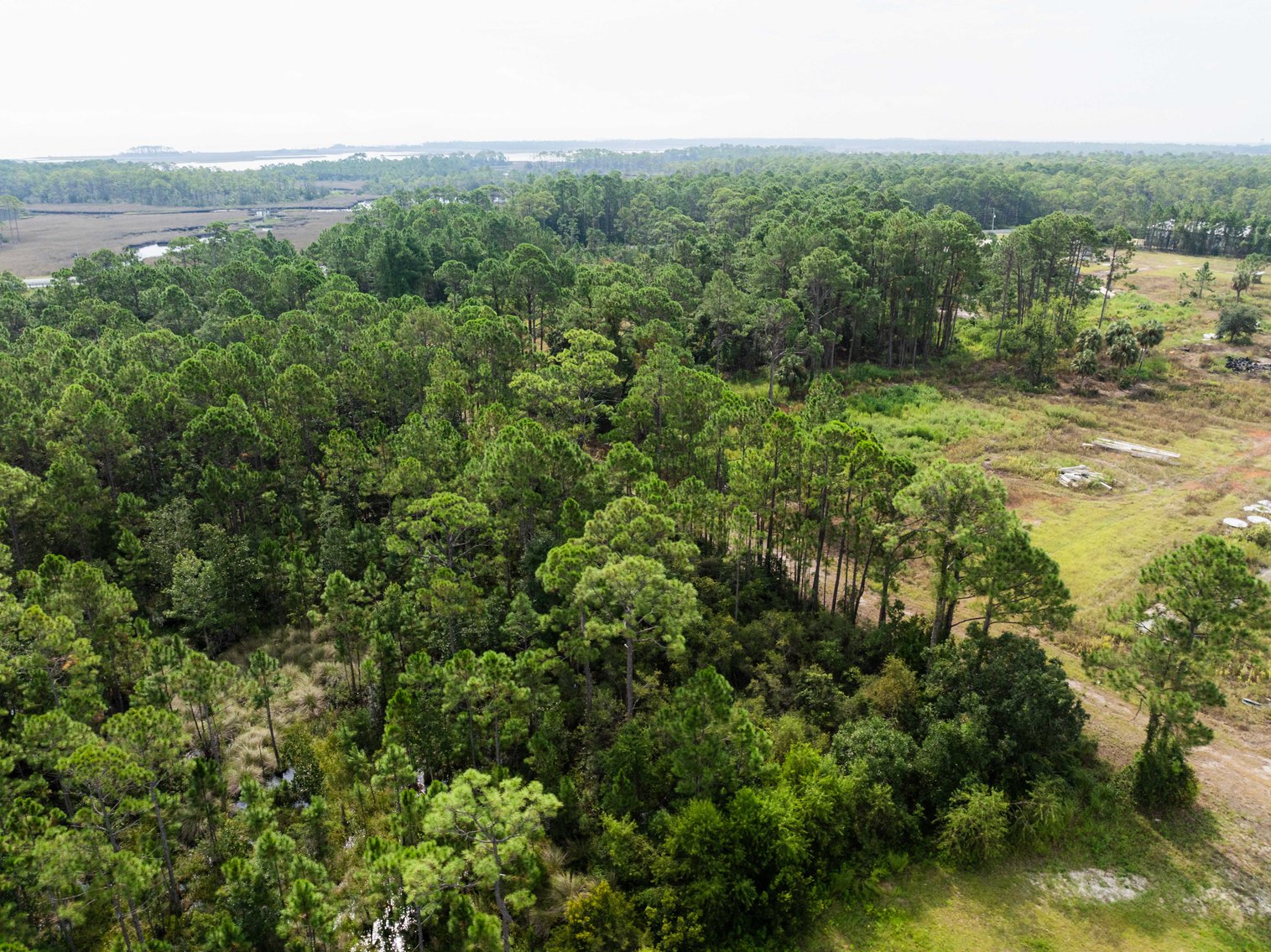 Image for 61± Acres on Coastal Hwy – Panacea, FL – Gateway to the Gulf Coast