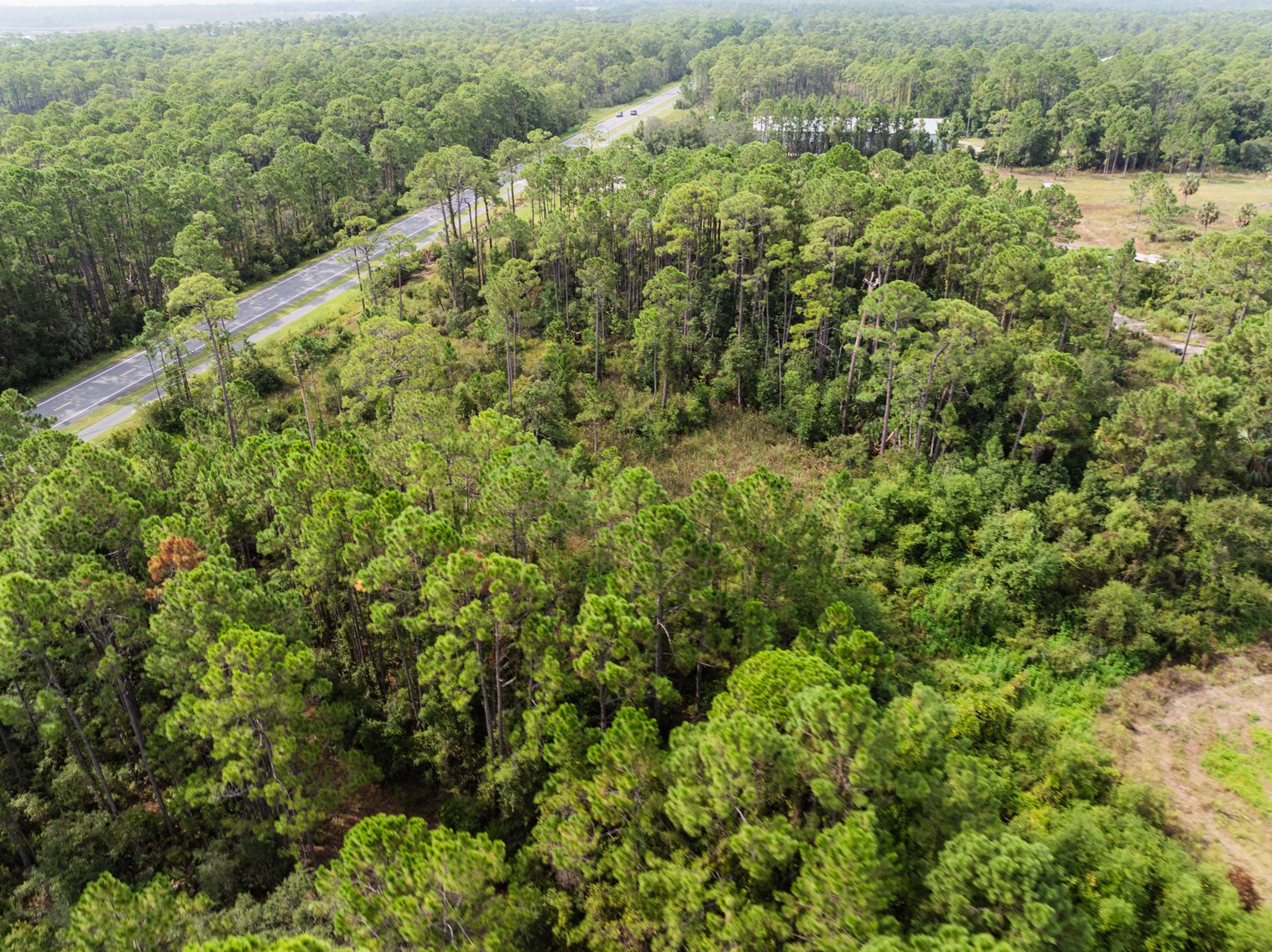 Image for 61± Acres on Coastal Hwy – Panacea, FL – Gateway to the Gulf Coast