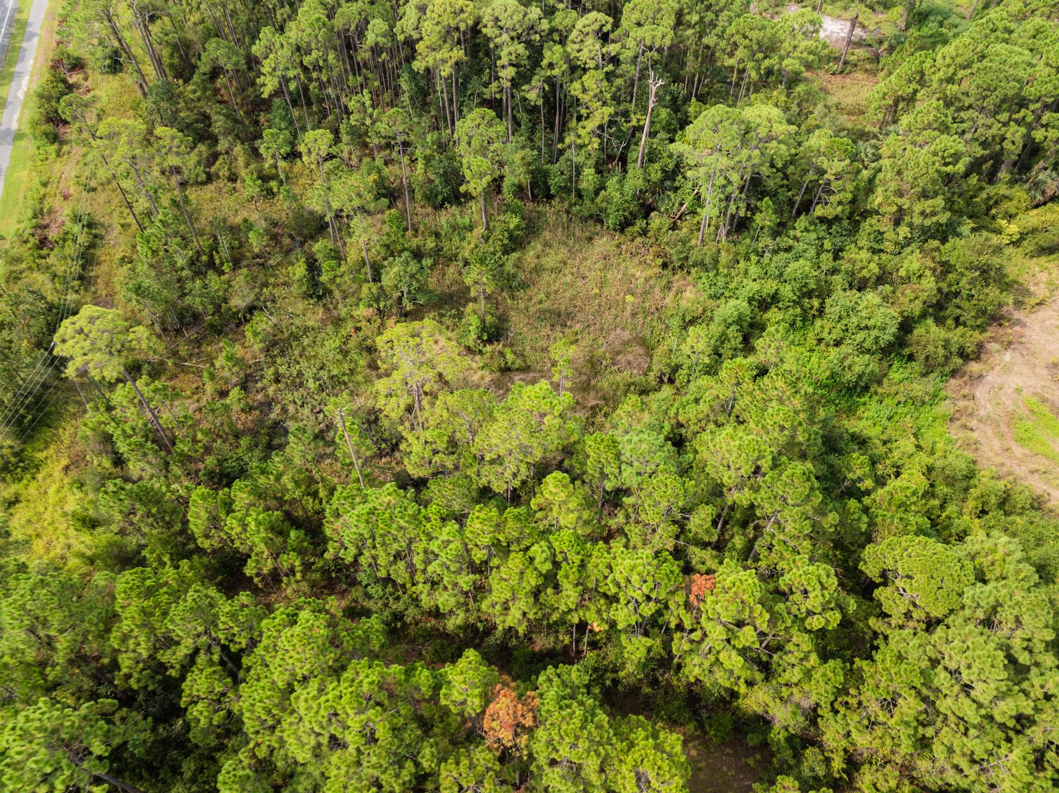 Image for 61± Acres on Coastal Hwy – Panacea, FL – Gateway to the Gulf Coast