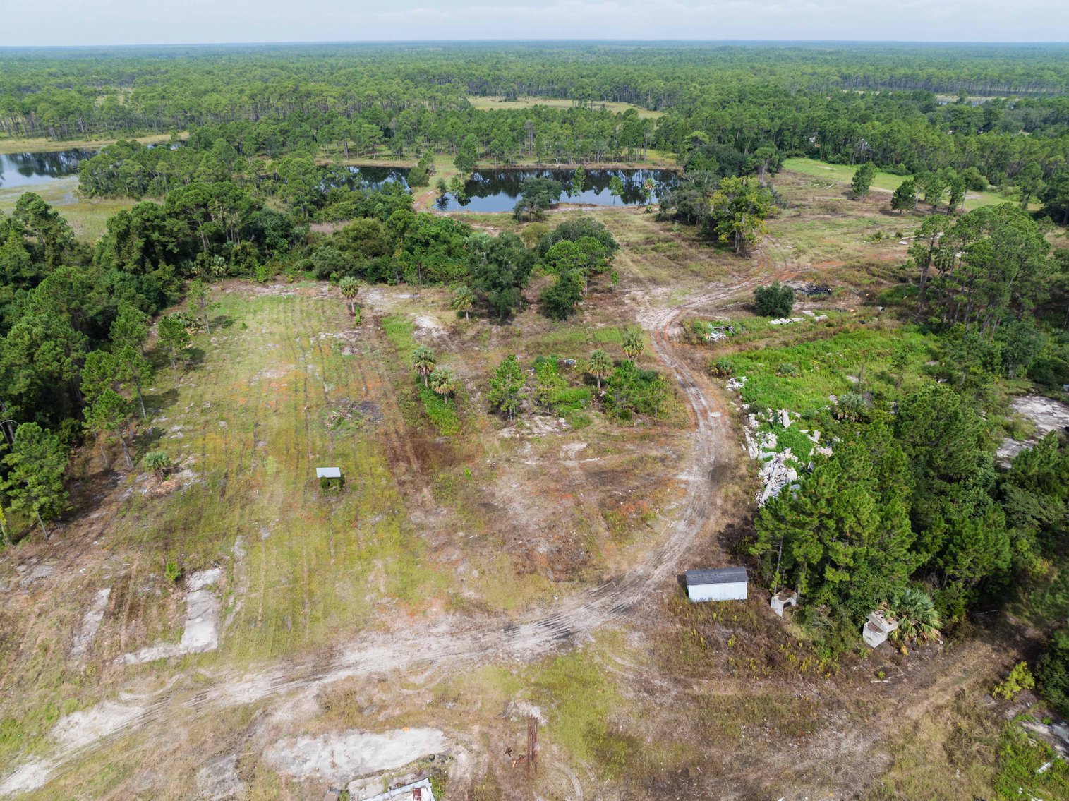 Image for 61± Acres on Coastal Hwy – Panacea, FL – Gateway to the Gulf Coast