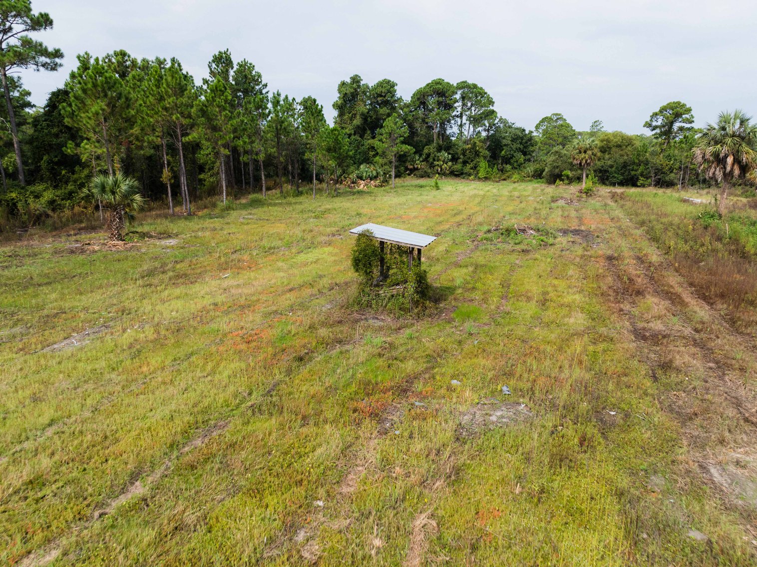 Image for 61± Acres on Coastal Hwy – Panacea, FL – Gateway to the Gulf Coast