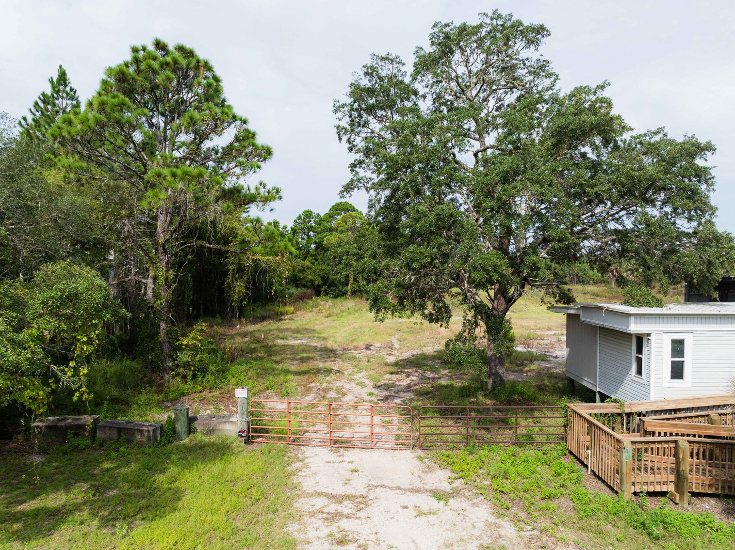 Image for 61± Acres on Coastal Hwy – Panacea, FL – Gateway to the Gulf Coast