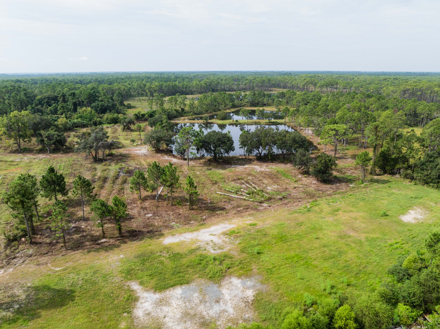 Image for 61± Acres on Coastal Hwy – Panacea, FL – Gateway to the Gulf Coast