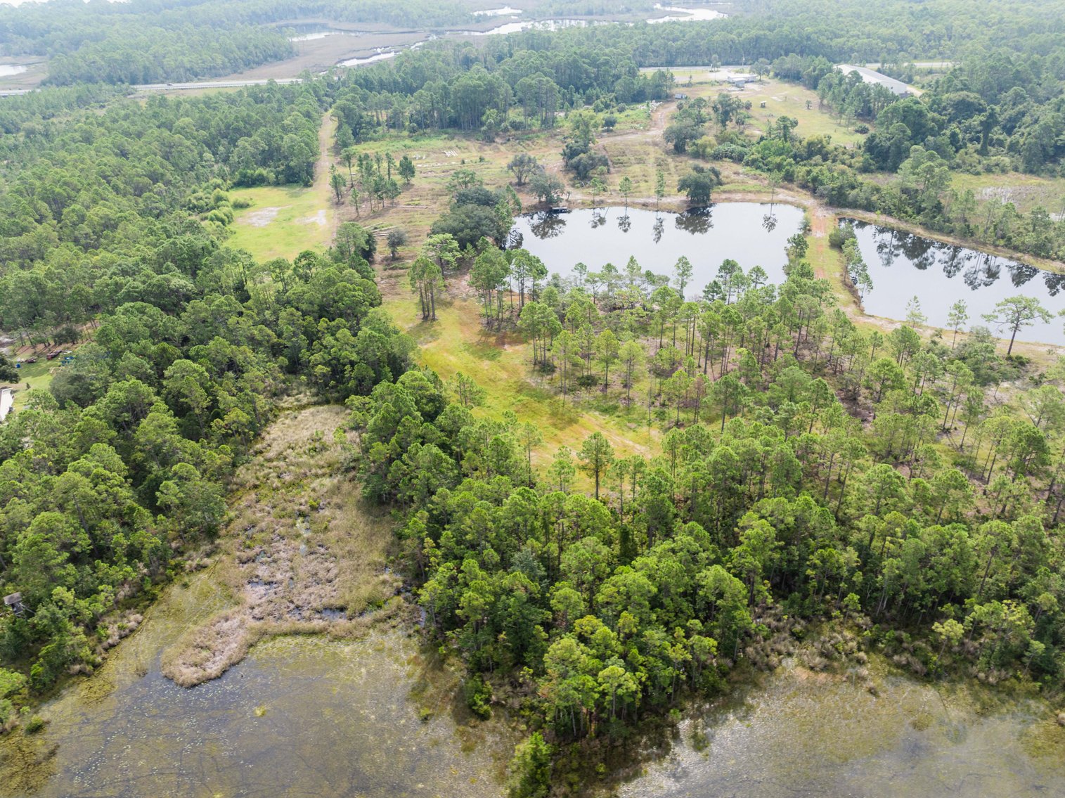 Image for 61± Acres on Coastal Hwy – Panacea, FL – Gateway to the Gulf Coast