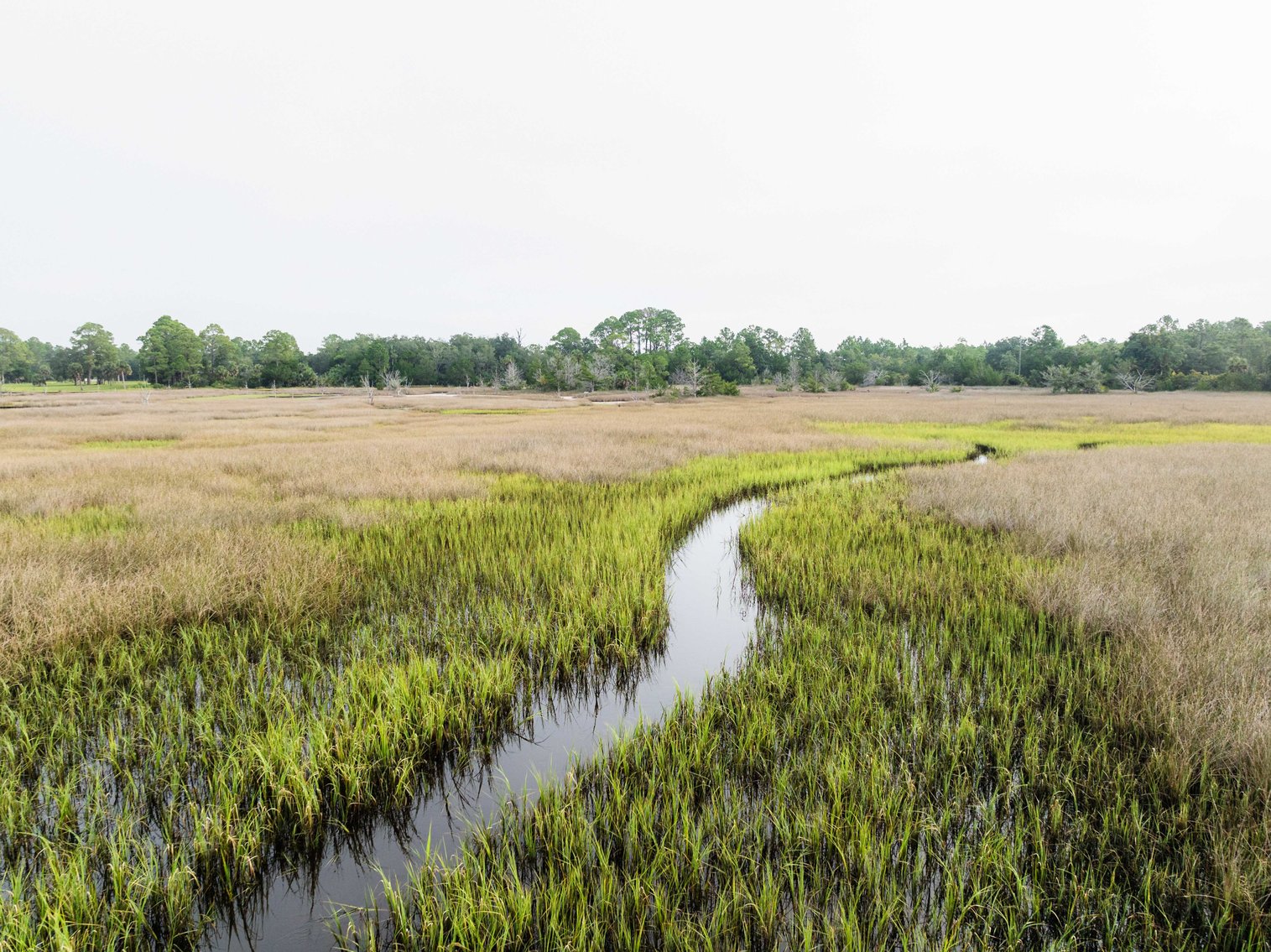 Image for Shell Point Development Tract – 12.88± Acres with Gulf Access