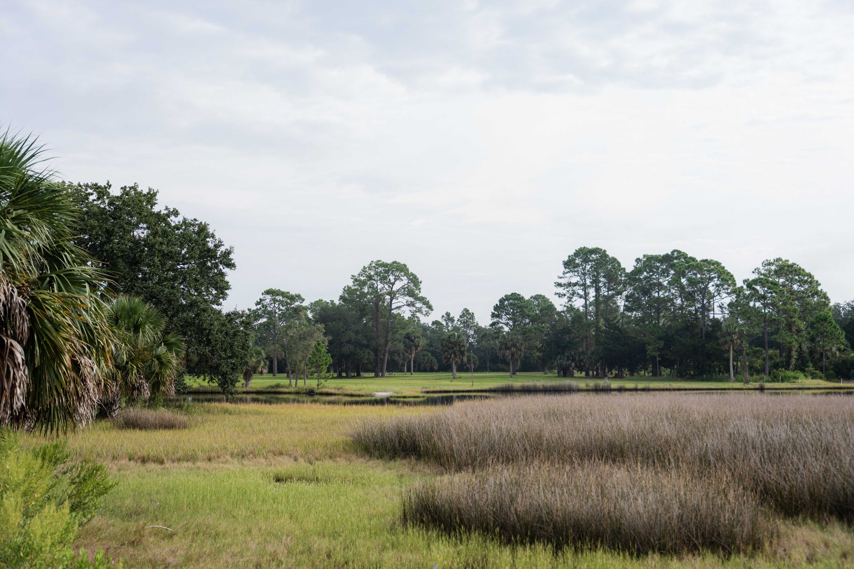 Image for Shell Point Development Tract – 12.88± Acres with Gulf Access