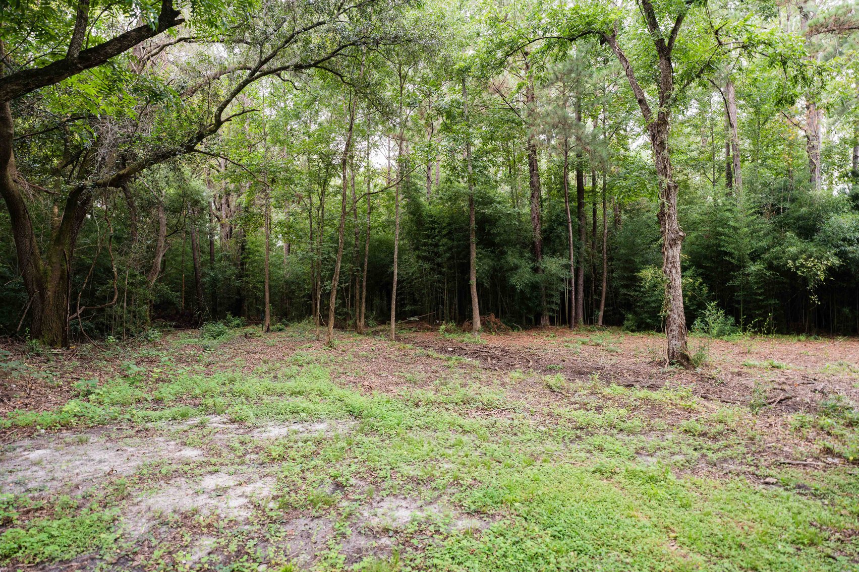 Image for Havana, Florida Investment Opportunity -- Home on 1 Acre