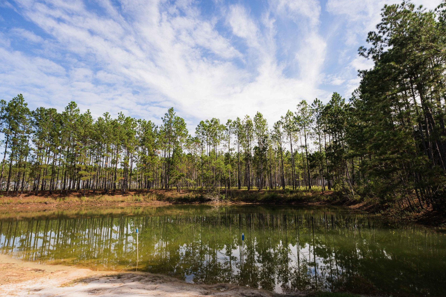 Image for 6.74+/- Acres and Home on Miller Bridge Road, Northern Lowndes County