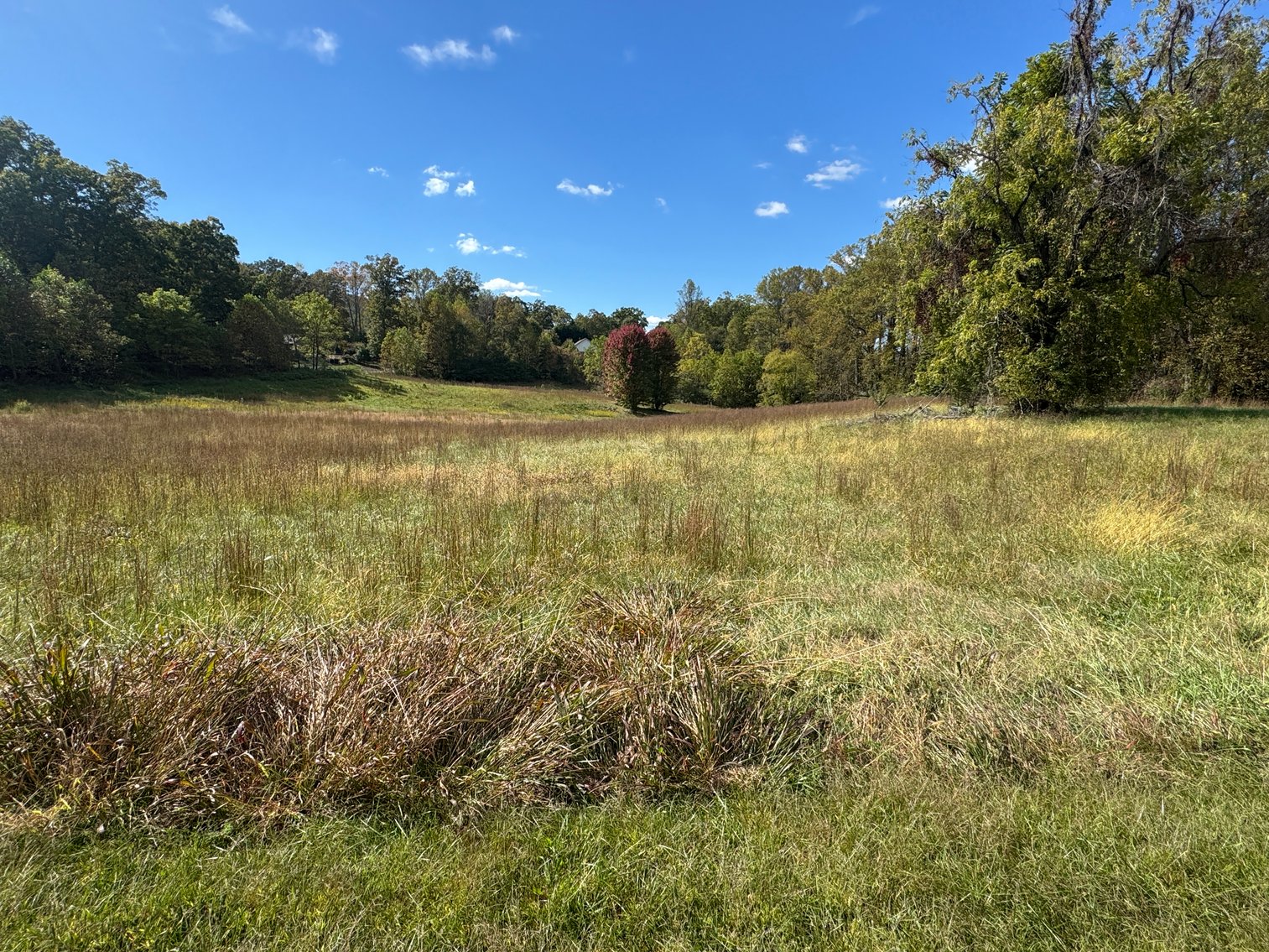 Image for Two Sutton Cove Building Lots with Mountain and Lake Chatuge Views