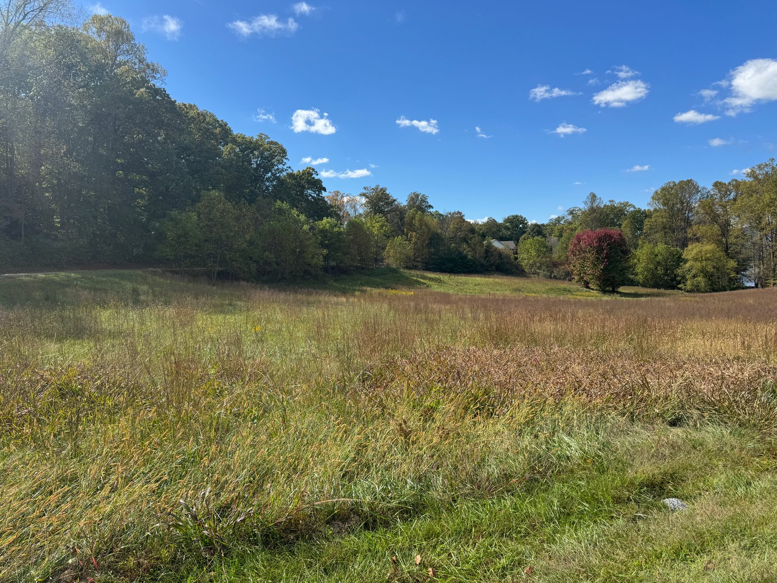 Image for Two Sutton Cove Building Lots with Mountain and Lake Chatuge Views