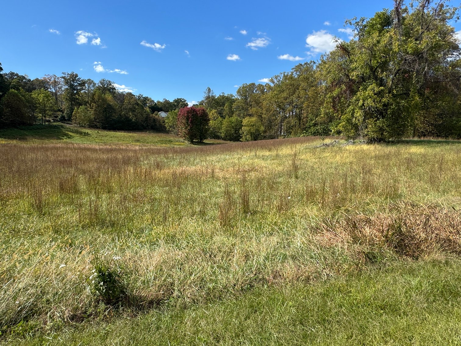 Image for Two Sutton Cove Building Lots with Mountain and Lake Chatuge Views