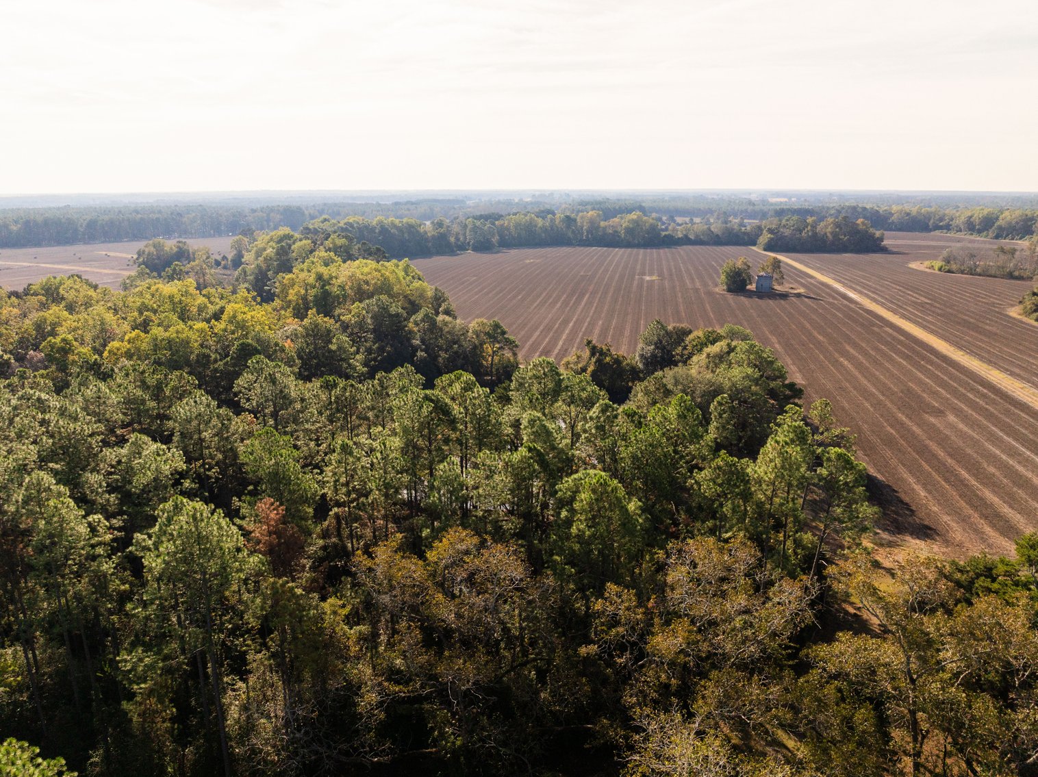 Image for The Redfearn Estate - Sealed Bid Auction