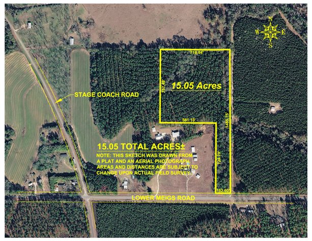 Image for 15.05± Acres of Planted Pine Timberland | Mitchell County, GA