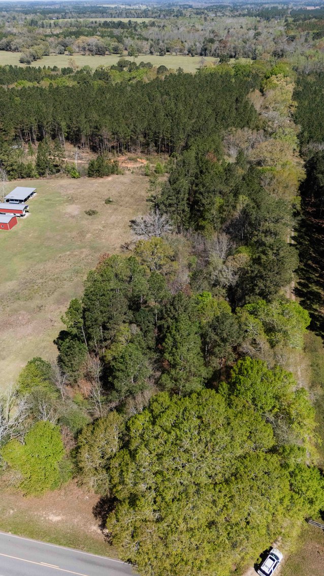 Image for 15.05± Acres of Planted Pine Timberland | Mitchell County, GA