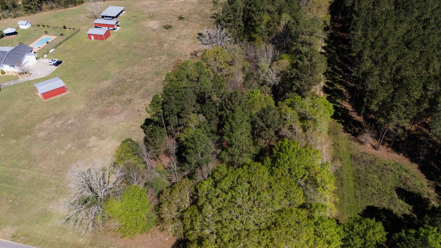 Image for 15.05± Acres of Planted Pine Timberland | Mitchell County, GA