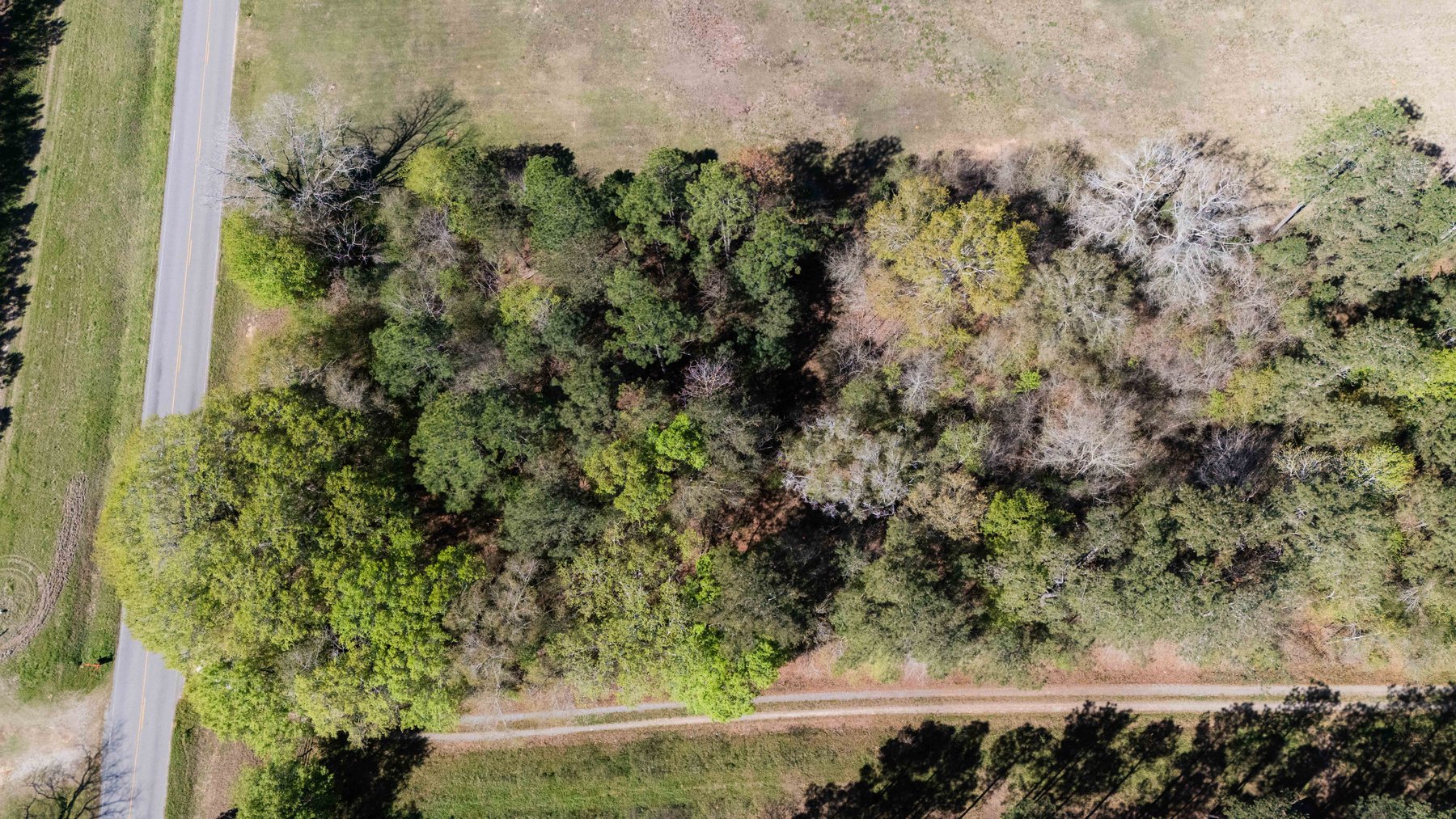 Image for 15.05± Acres of Planted Pine Timberland | Mitchell County, GA