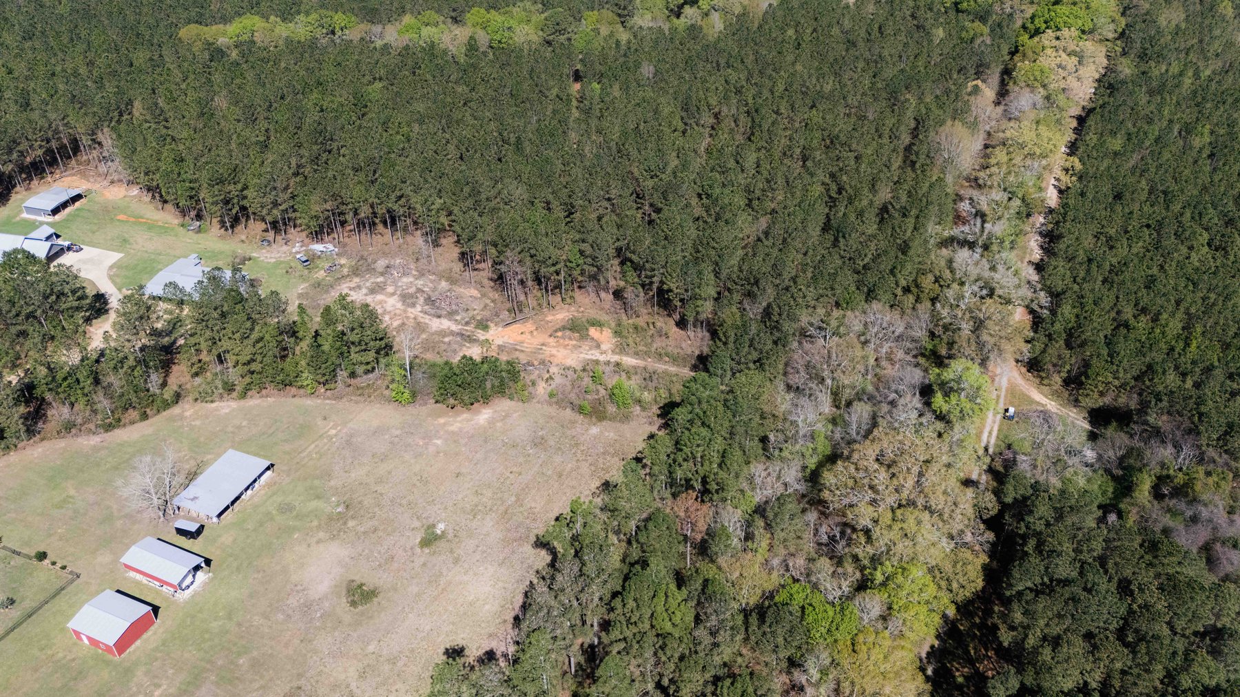 Image for 15.05± Acres of Planted Pine Timberland | Mitchell County, GA