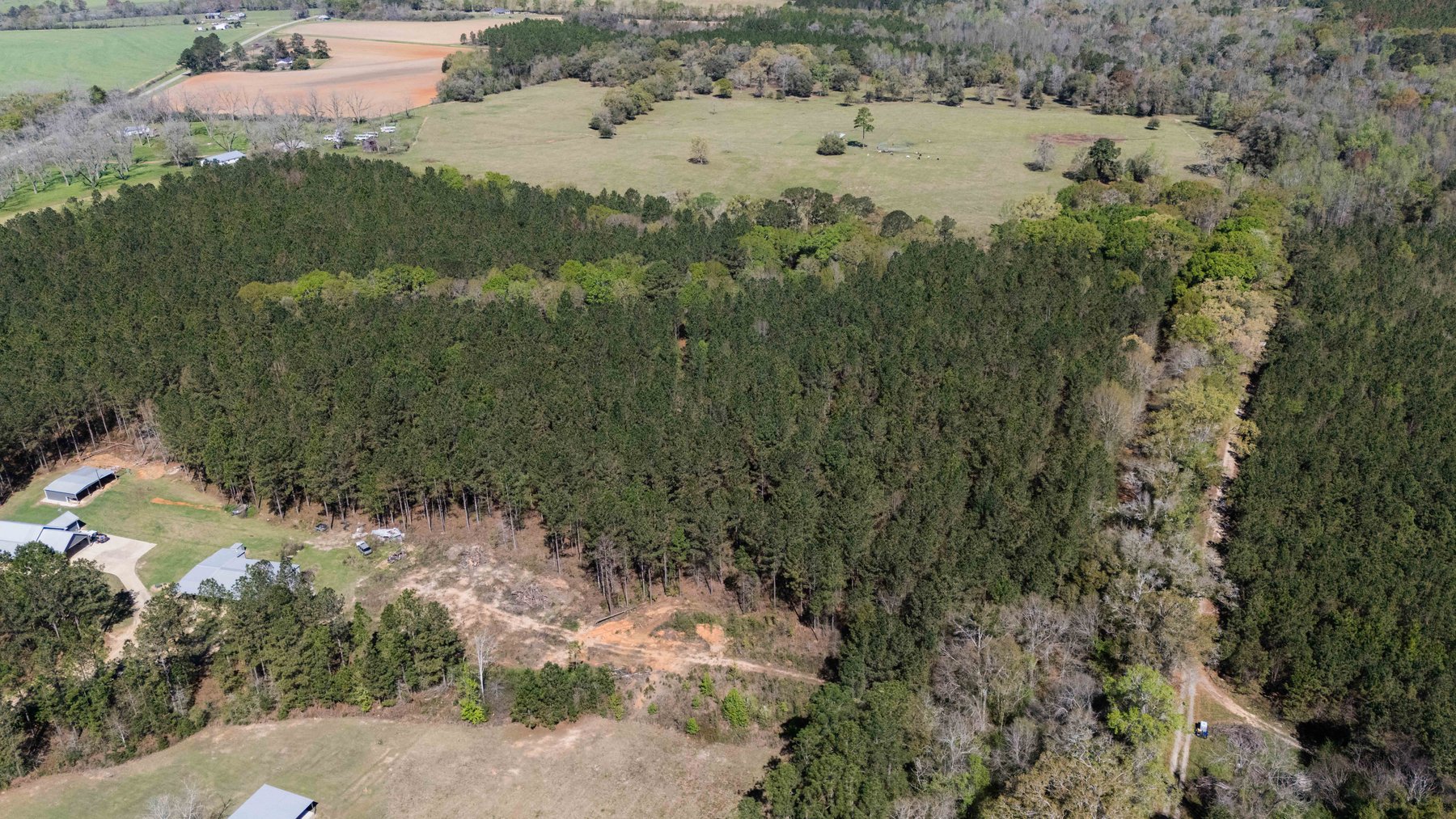 Image for 15.05± Acres of Planted Pine Timberland | Mitchell County, GA