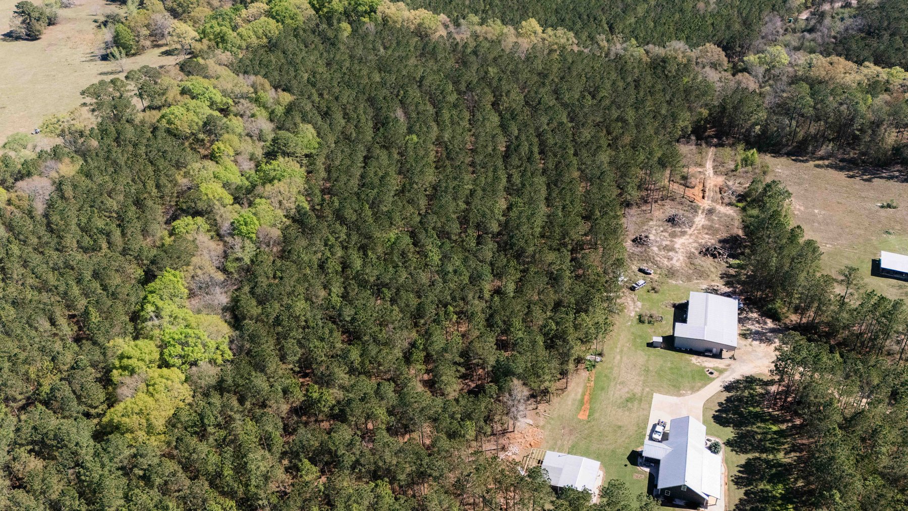 Image for 15.05± Acres of Planted Pine Timberland | Mitchell County, GA