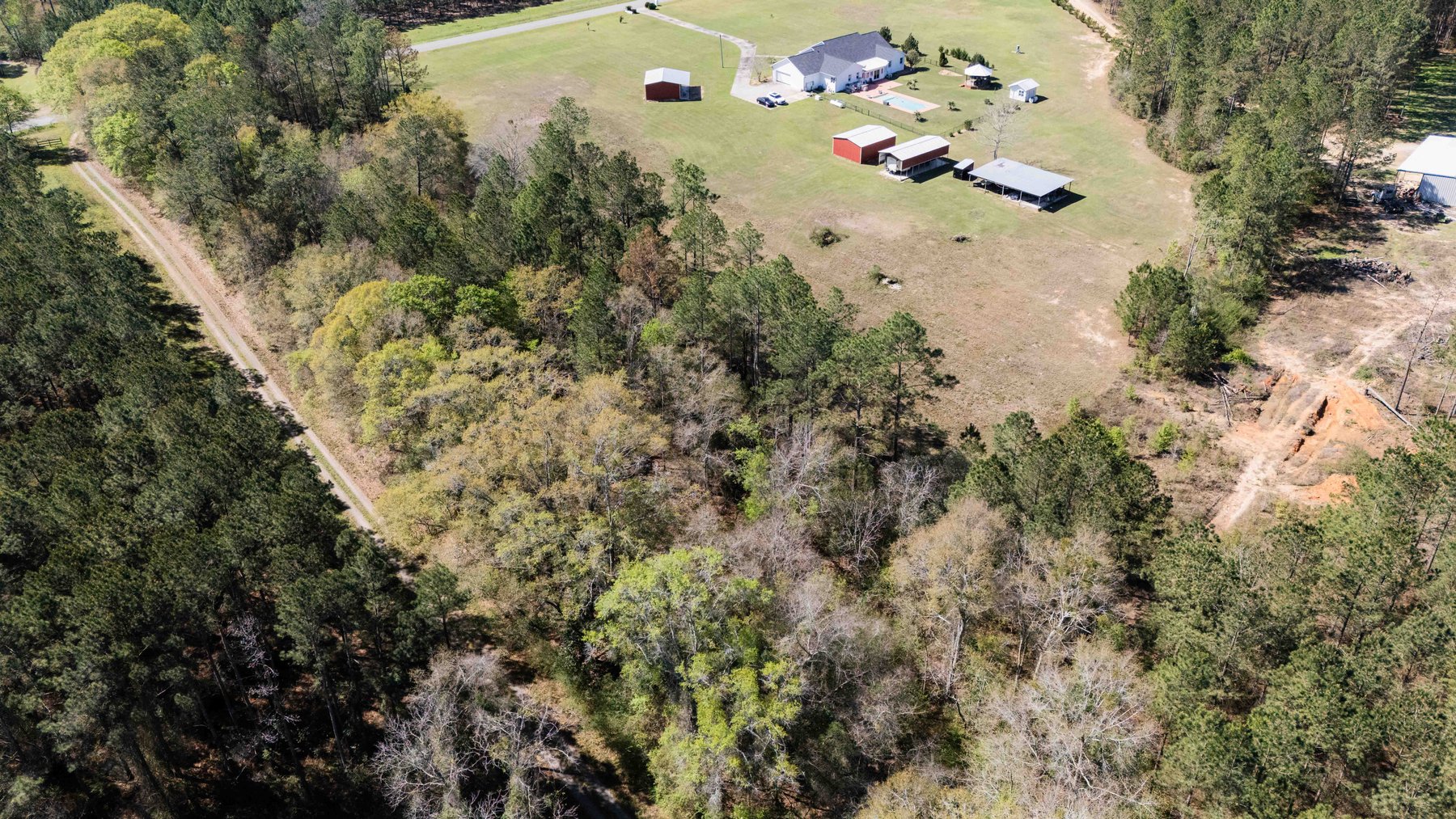 Image for 15.05± Acres of Planted Pine Timberland | Mitchell County, GA