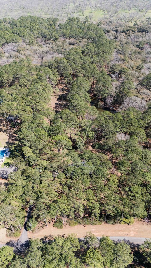 Image for Country Estate Home on 7.98± Acres | Albany, Georgia