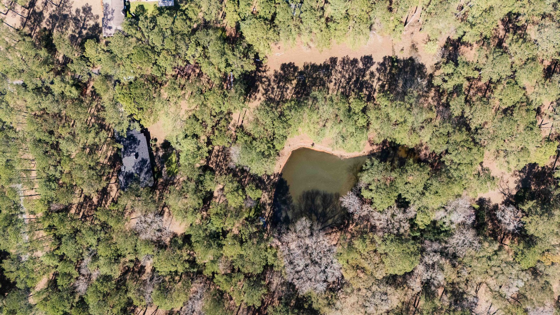 Image for Country Estate Home on 7.98± Acres | Albany, Georgia