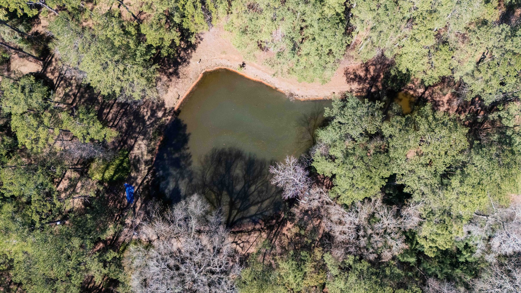 Image for Country Estate Home on 7.98± Acres | Albany, Georgia