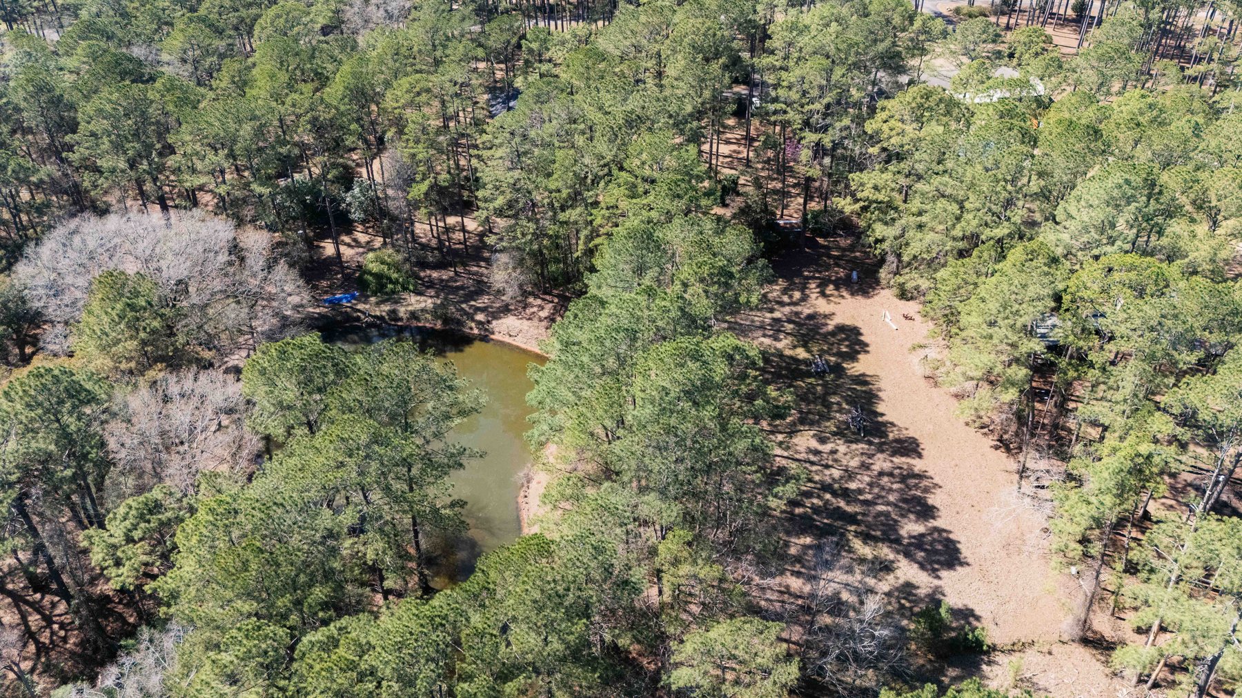 Image for Country Estate Home on 7.98± Acres | Albany, Georgia