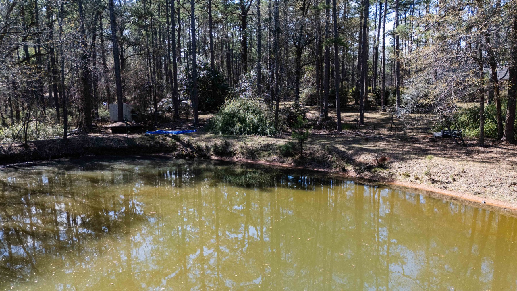 Image for Country Estate Home on 7.98± Acres | Albany, Georgia