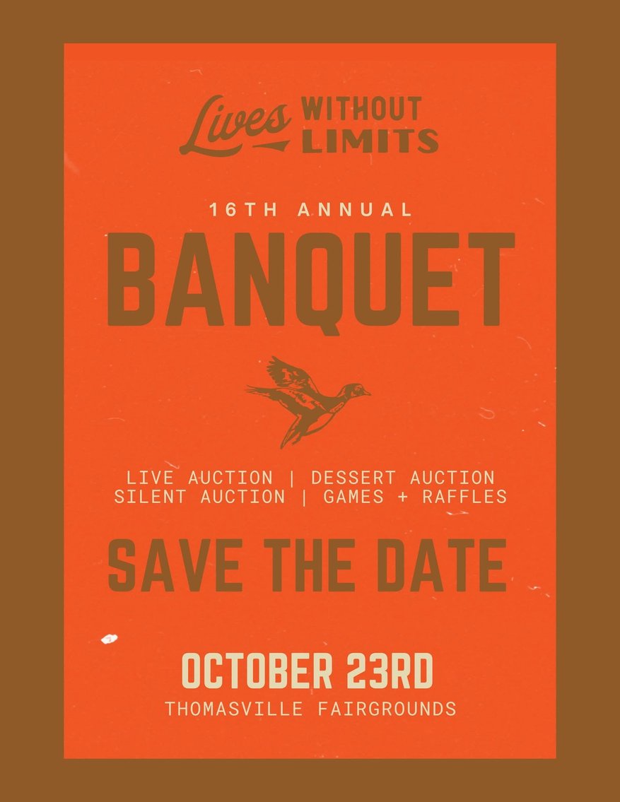 Image for 16th Annual Lives Without Limits Fundraiser