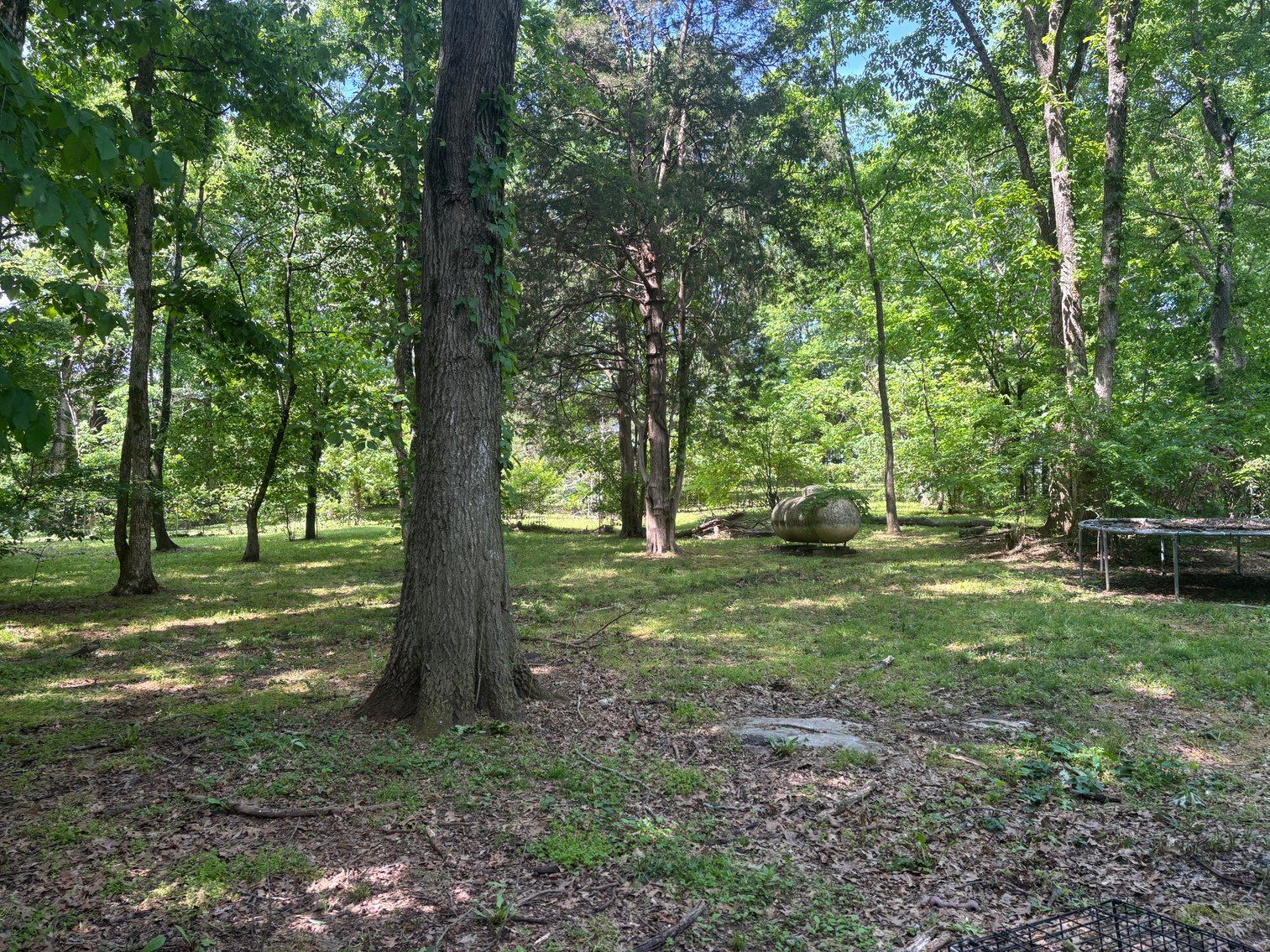 Image for 5753 DENNIS CORINTH RD., AUBURN, KY 42206