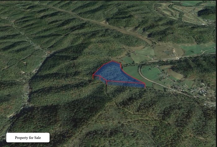 Image for 36 Acre Wyoming County West Virginia Real Estate Auction