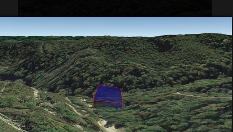 Image for 7.5 Acres in Russell County VA Real Estate Auction