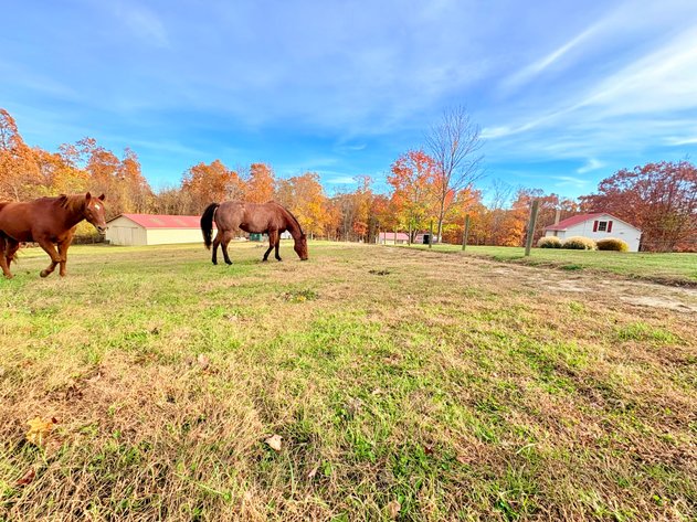 Image for 6.5 Acre Real Estate Auction