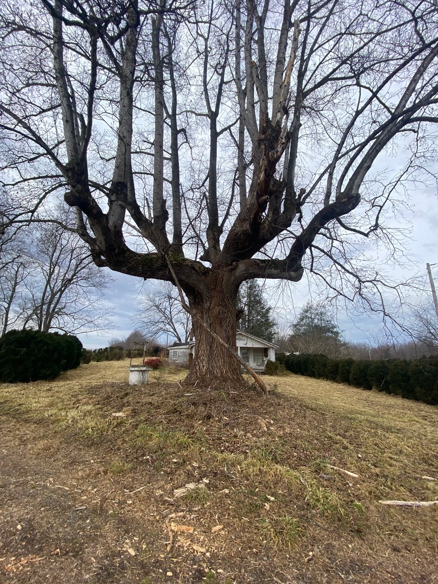 Image for Real Estate Auction - Home & 38± Acres in Dobson, NC