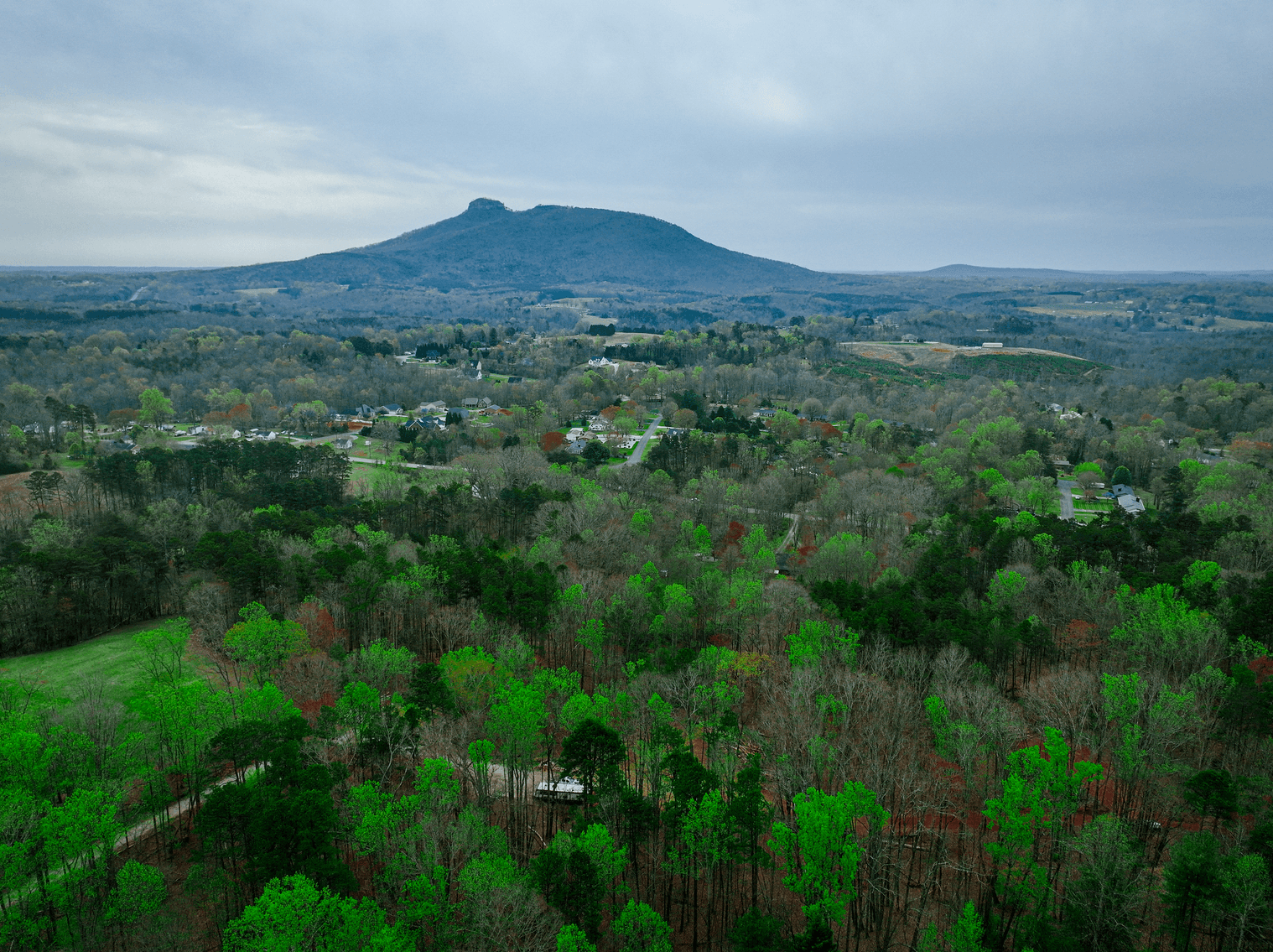 Image for Real Estate Auction - 13 Acres in Pilot Mountain, NC