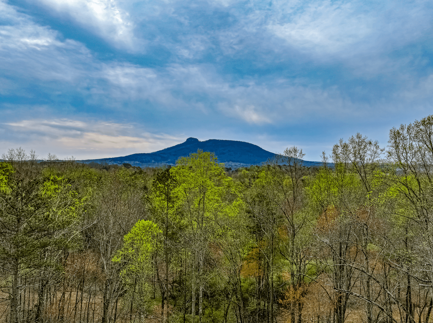 Image for Real Estate Auction - 13 Acres in Pilot Mountain, NC