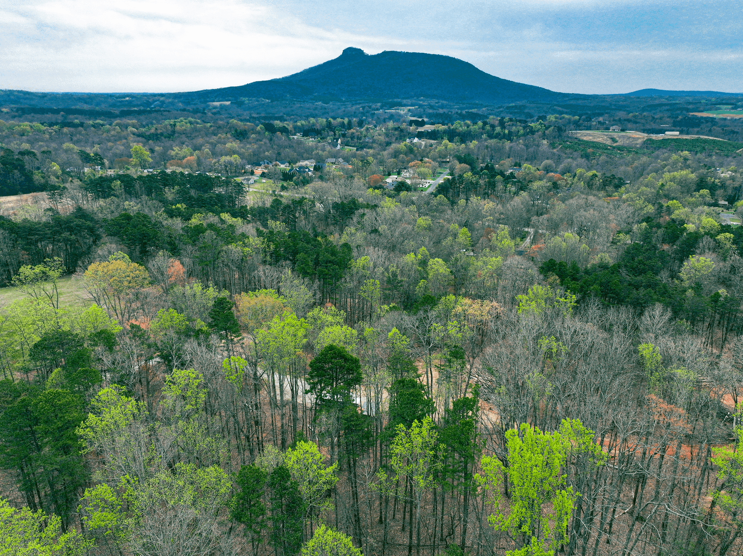 Image for Real Estate Auction - 13 Acres in Pilot Mountain, NC