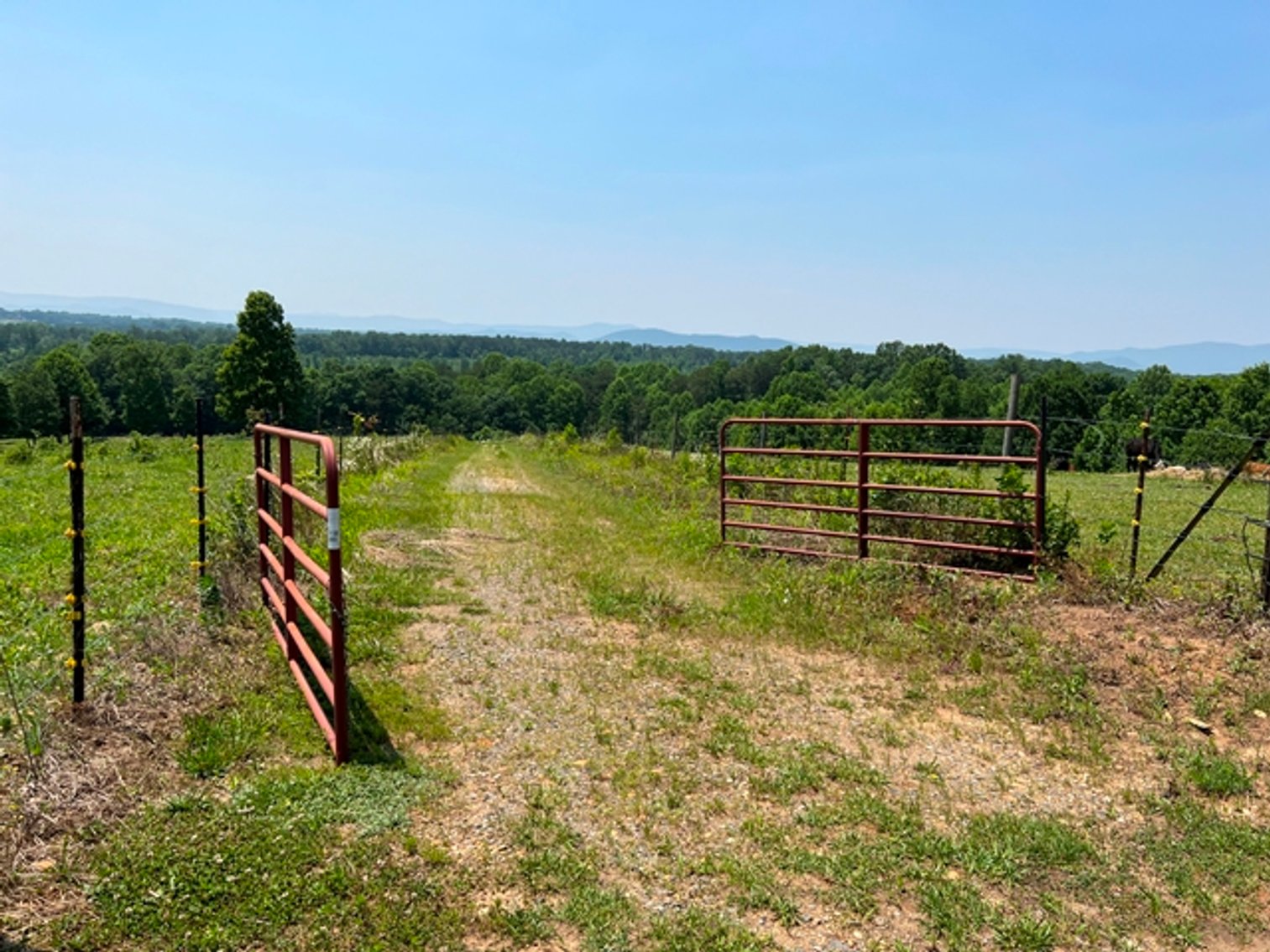 Image for Estate of The Late Jimmy Ray Newman - 150± Acres with 1 Home & Additional Buildings