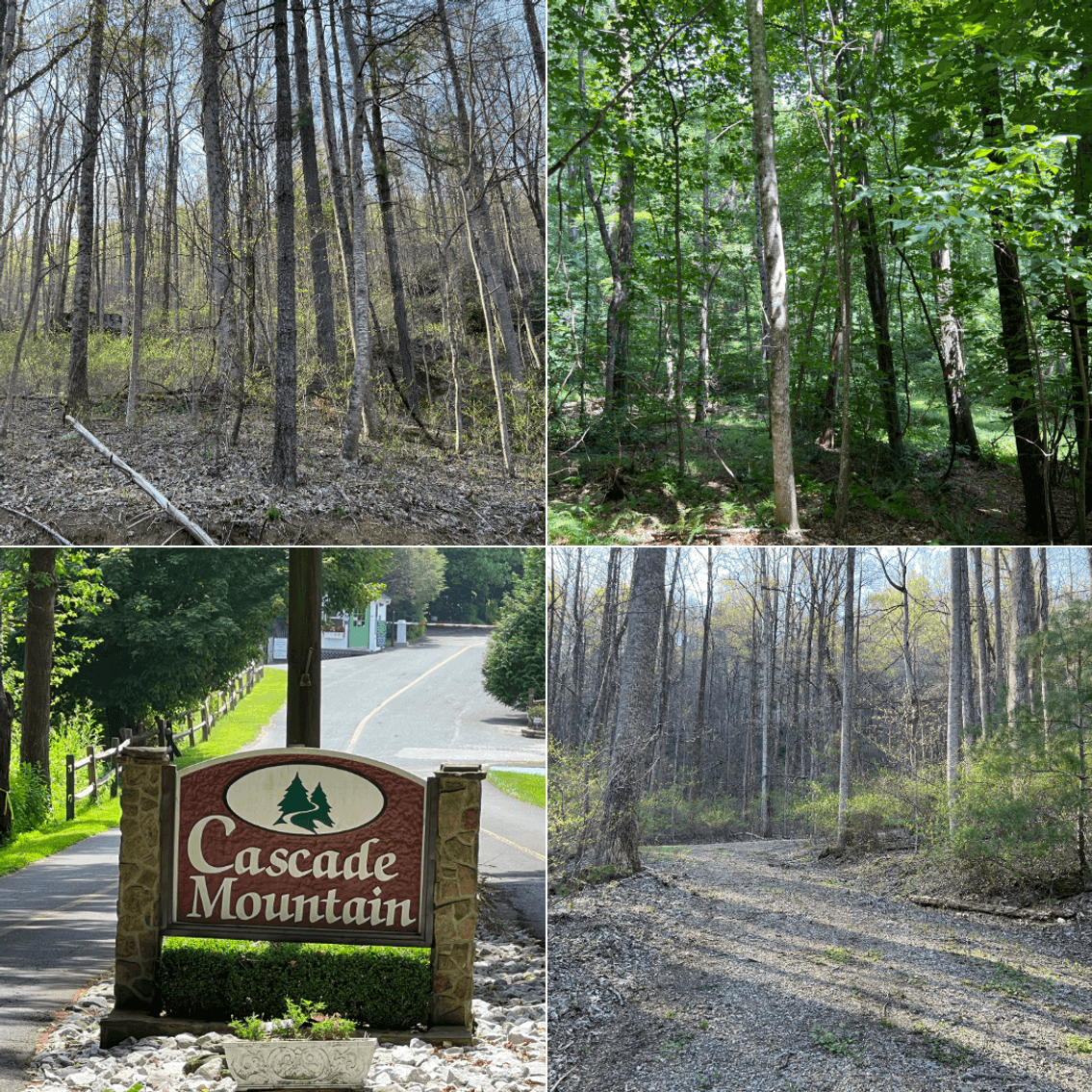 Image for Estate of The Late Jimmy Ray Newman: 3 Lots in Cascade Mountain