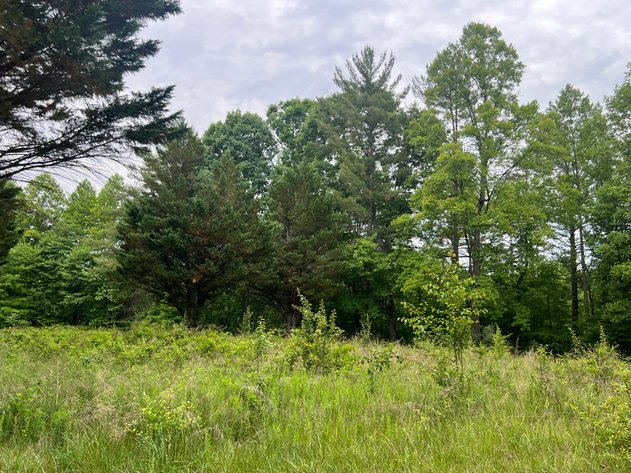Image for Commissioner’s Sale: 10± Acres in Mount Airy, NC | Hugh Campbell & Charles Briggs, C0-Comm.