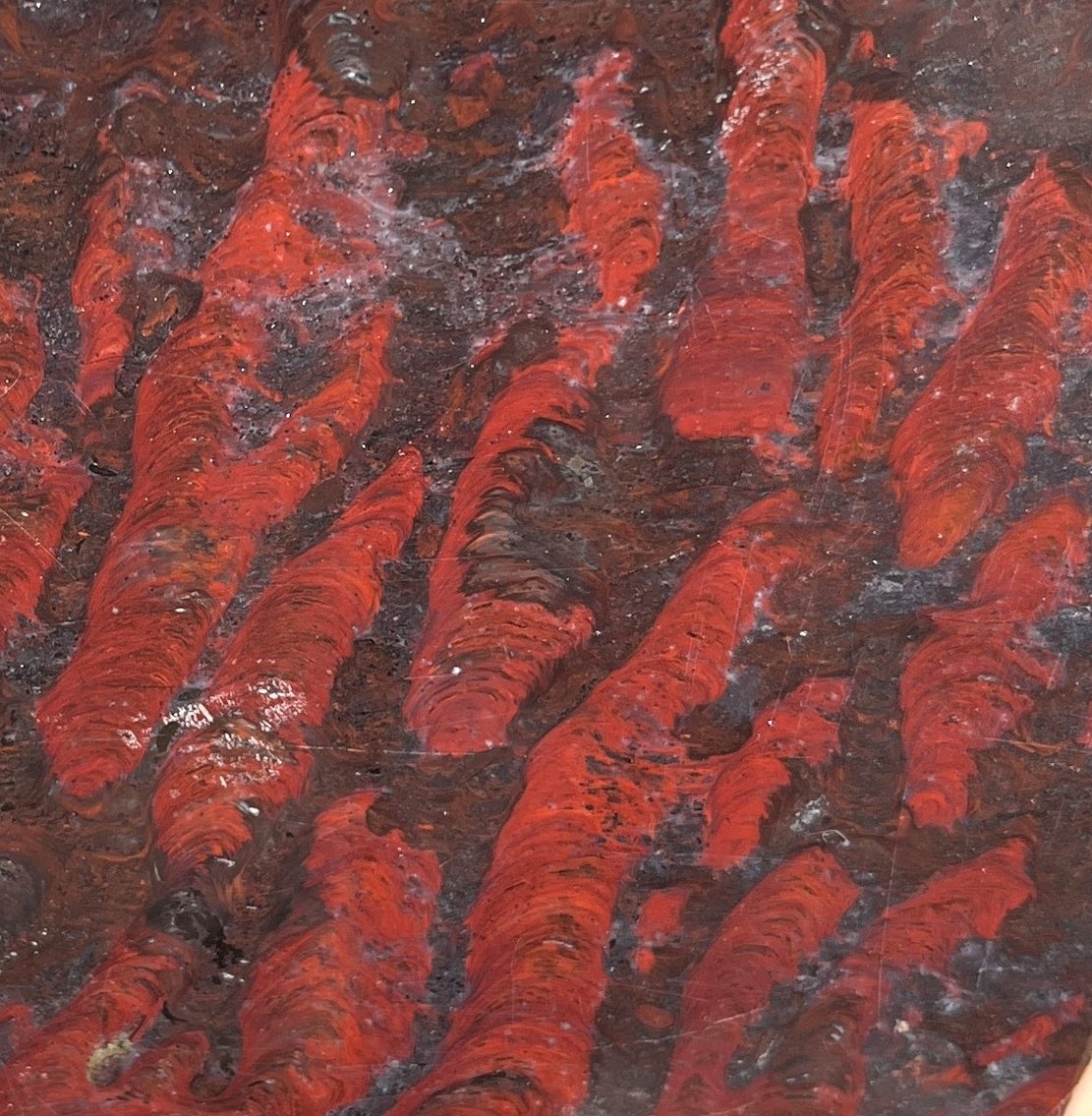 Image for Natural History Auction: Fossils, Minerals, Crystals, Gems, Biologic Specimens