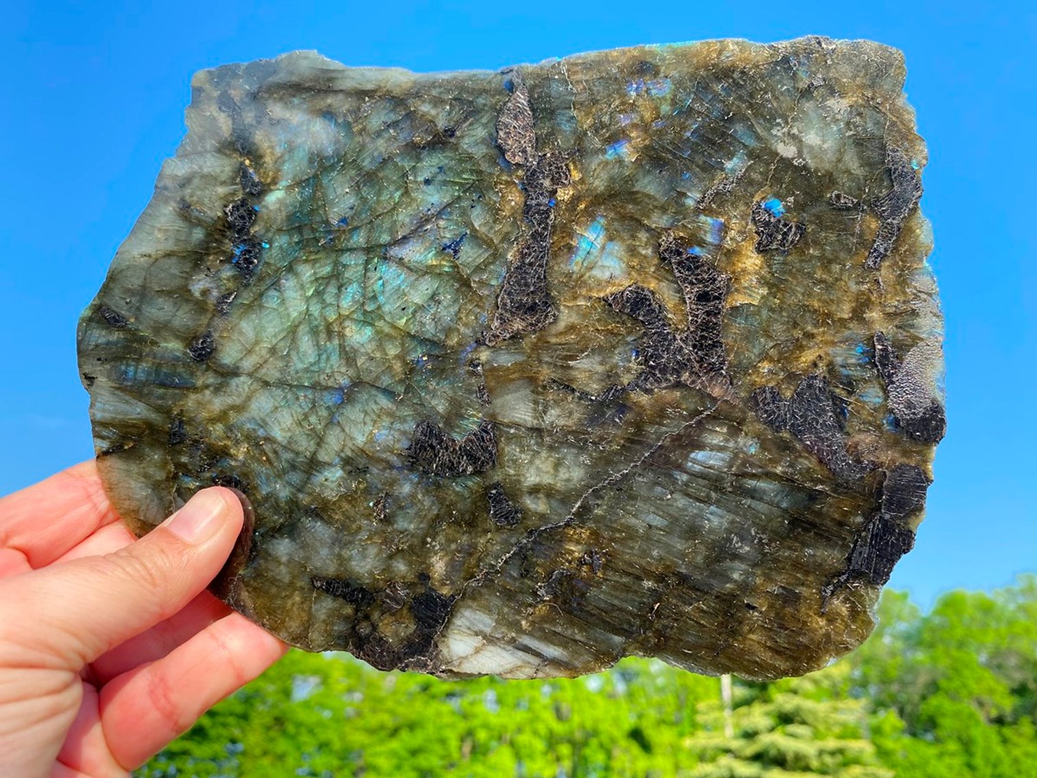 Image for Lapidary: Agates, Crystals, Minerals & More