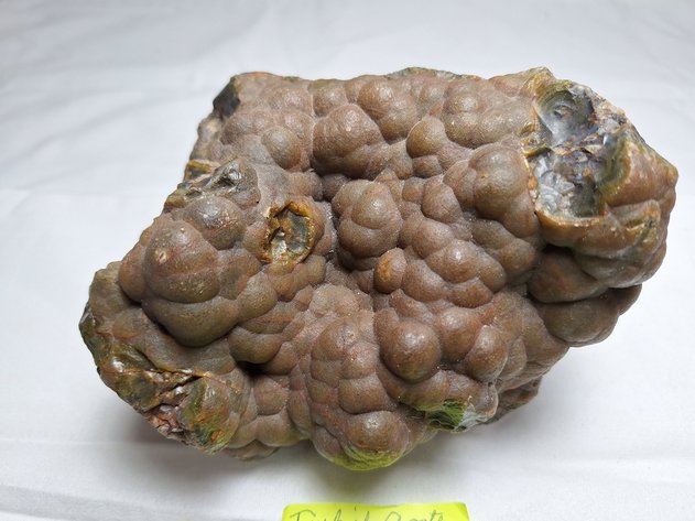 Image for Lapidary: Agates, Specimens & More