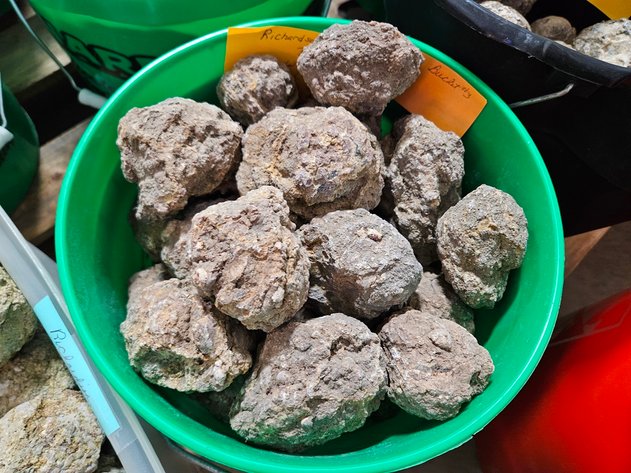 Image for Lapidary: Agates, Specimens & More