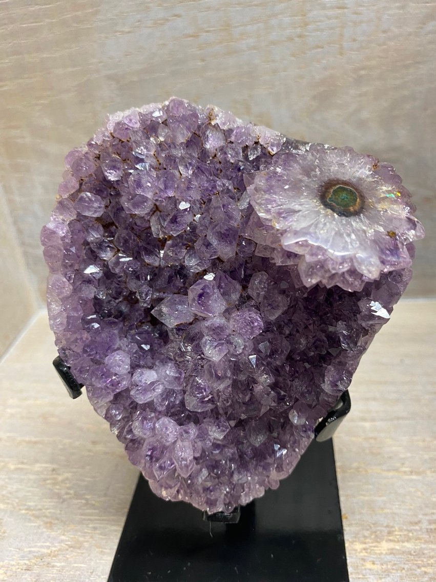 Image for Lapidary: Agates, Crystals, Minerals & More